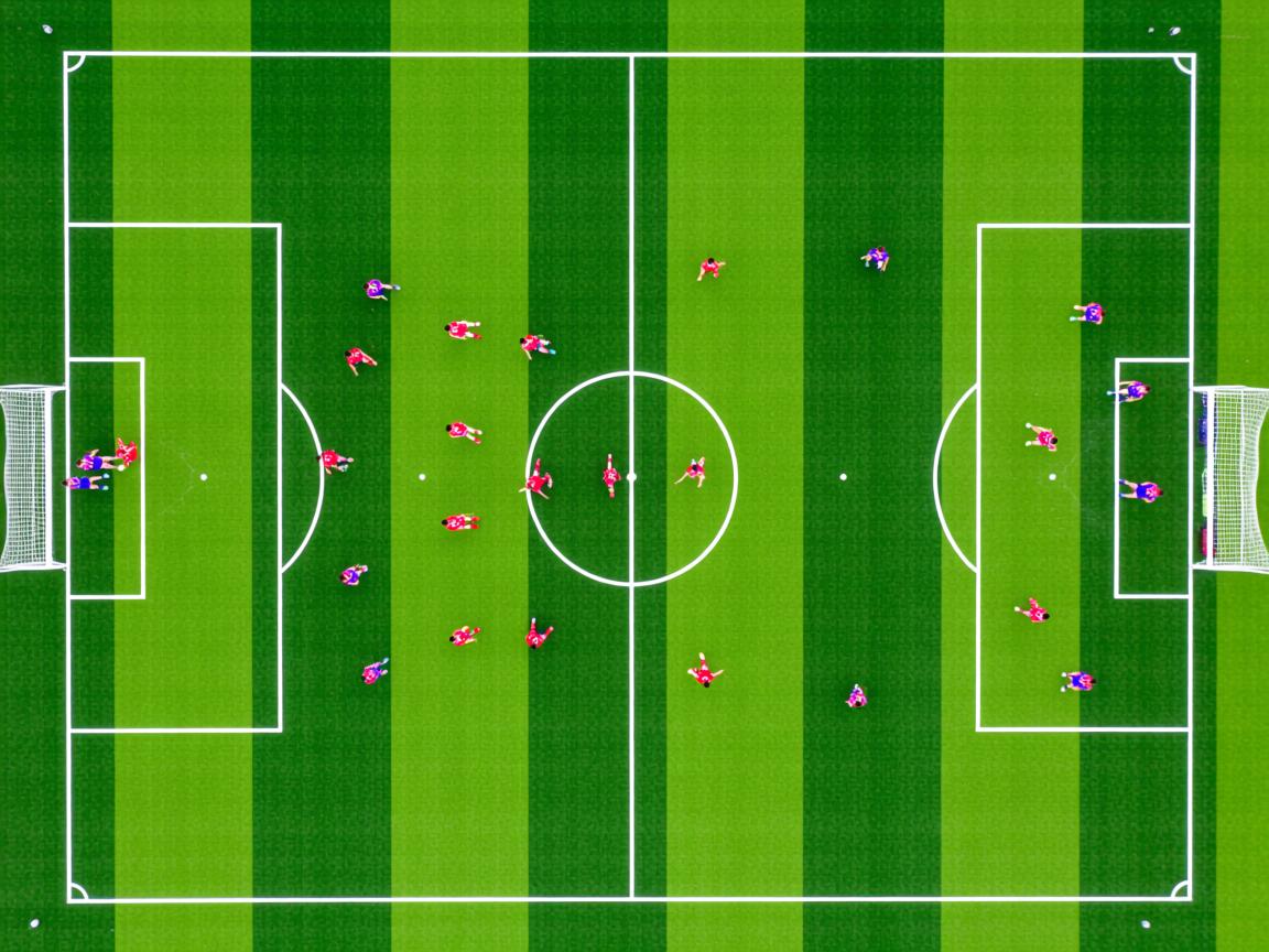 开云体育在线下载-奥运赛场食品安全保障方案正式发布，日本奥运会食品安全