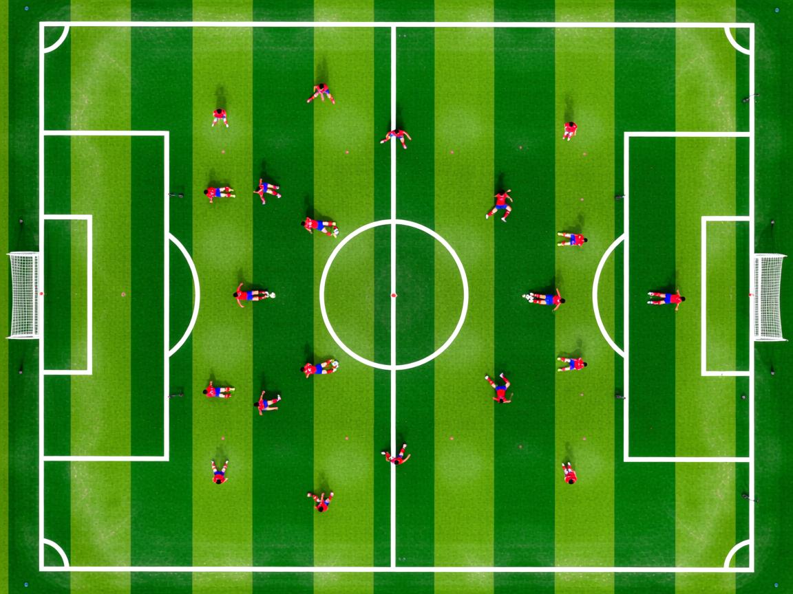 开云官网-数据曲线:美国选手配速高峰前移,美国队短跑选手 第3张