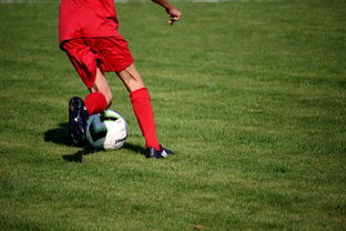 kaiyun开云体育-体育新闻中心推进赛事图文实时发布系统优化，体育新闻赛事报道标题大全  第3张